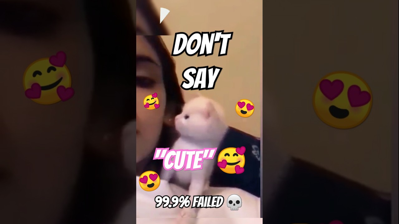 Don’t Say "Cute" 🥰 #2  | 99.9% Failed 💀 #shorts