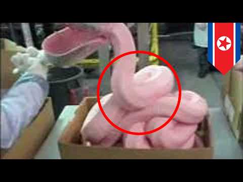 Video 1