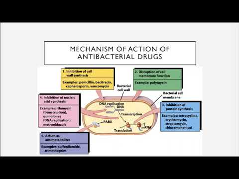 BIO 205 Chapter 14 Antimicrobial Drugs