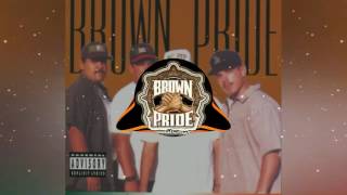 Brown intentions-bounce