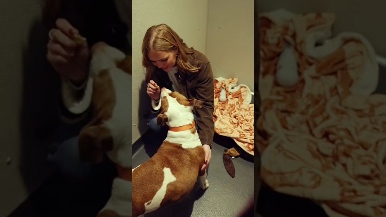 Serotonin Series! Part 2