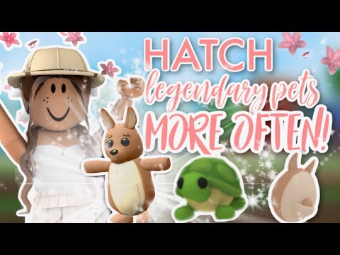 How To Hatch Legendary Or Ultra Rare From Aussie Eggs How To Hatch L