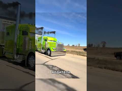 Почему старый Peterbilt стоит как НОВЫЙ трак из салона? #peterbilt #truck #peterbilt379 #trucking