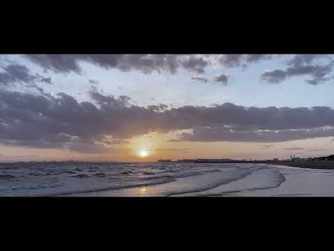 人間社会学科 Vlog『Have a Good Trip』