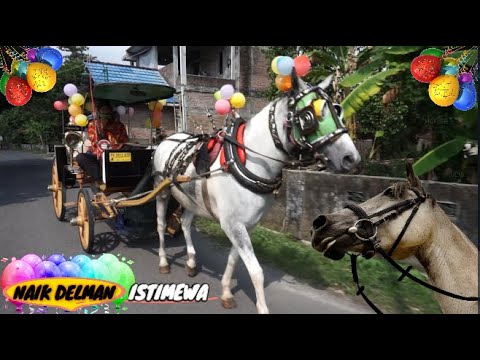 Đi xe ngựa đặc biệt | XE NGỰA ANDONG ... Đoạn giới thiệu