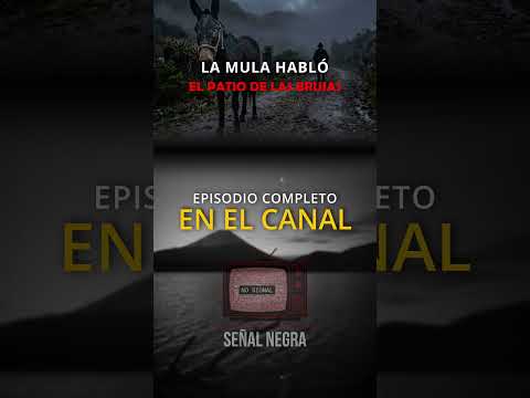 La mula que habló en el patio de las brujas