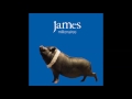 James - We 'Re Going To Miss You (Album Version)