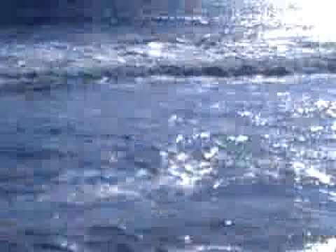 KVVS Bsc Electronics shankumugam