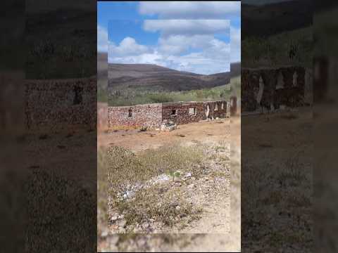 El Corral de Piedra #naturalezabosqueycampo