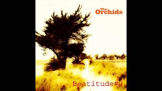 The Orchids - "Your Heart Sends Me"
