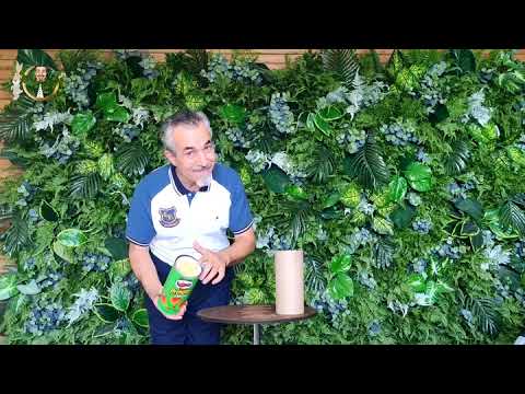 Chips Game by www.toramagicshop.com