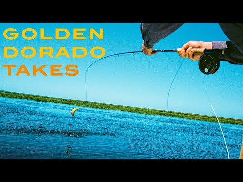 Takes at Pirá Lodge. Iberá Marshlands, Argentina