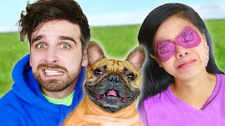 World&#39;s Worst SEEING-EYE DOG Tries to Help Blind Vy Qwaint for 24 Hours