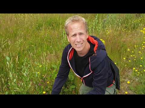 Project Beekbergerwoud en het Leesten