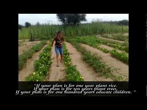 Kalahari New Hope - Highlights [2009 - 2012]