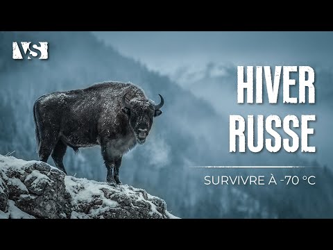 HIVER EXTRÊME EN RUSSIE | Survivre à -70°C dans le Froid le Plus Brutal de la Planète – Documentaire