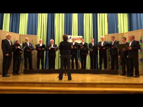 MPZ Štinglc, Martinov koncert, V deželi moji, 2014