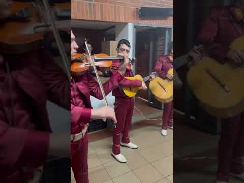 📞 321 371 9238 | Mariachis en Gómez Plata Antioquia 🎺❤️