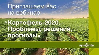 Картофель-2020. Проблемы, решения, прогнозы фото