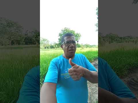 você daria 150 mil em um alqueires de terra aqui em nossa região curvelandia mato grosso