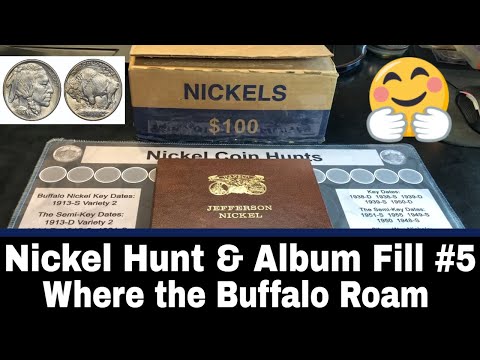 Nickel Hunt and Album Fill #5 - Buffalos Wild