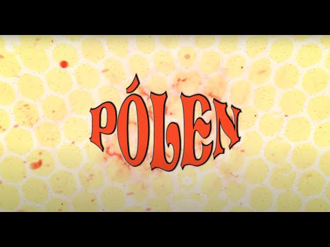 QNoiz & Jojo Baby - Pólen (part. Kel)