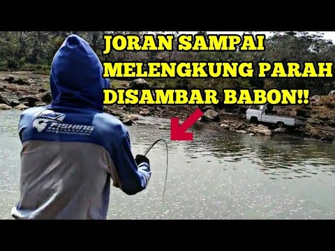 Berbelanja potensi generik 24 Baunya seperti wanita ketika bersemangat