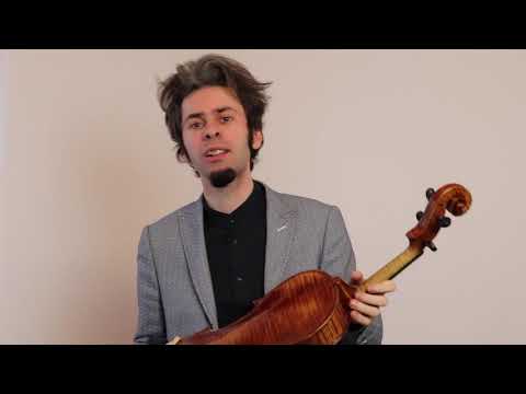 Amazing One Piece Back Viola 40.5cm - Made by European Luthier