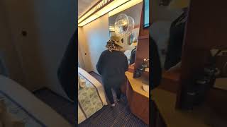 Carnival Spirit Obstructed View Balcony Cabin 5232 Tour #cruisetour #travel #carnivalcruiseline