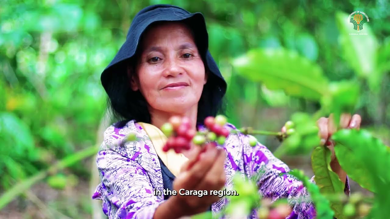 Invest Coffee in Caraga Region