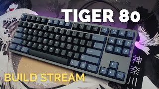 Build: Tiger 80 with ABS and Alu?