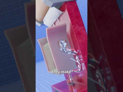 How A Dead Fly Powers A Clock 🤔