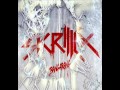 Skrillex Feat Sirah - Bangarang (Original Mix ...