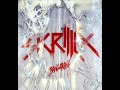 Skrillex Feat Sirah - Bangarang (Original Mix) Plus ...