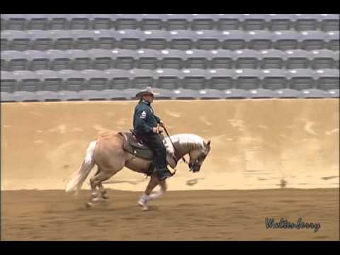 BIG SHINER & Shawn Flarida