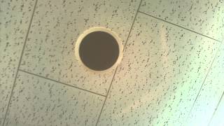 ファミラジ4/8～4/15...④