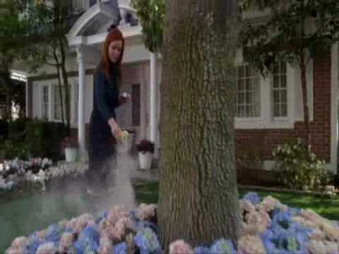 Desperate Housewives: Final Goodbye to Edie Britt (Nicolette Sheridan)