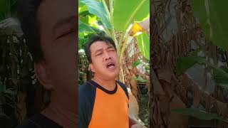 Download lagu gelas retak #shorts mp3