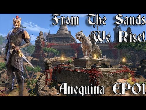 [1] From The Sands We Rise! | Anequina Campaign -  TESTW
