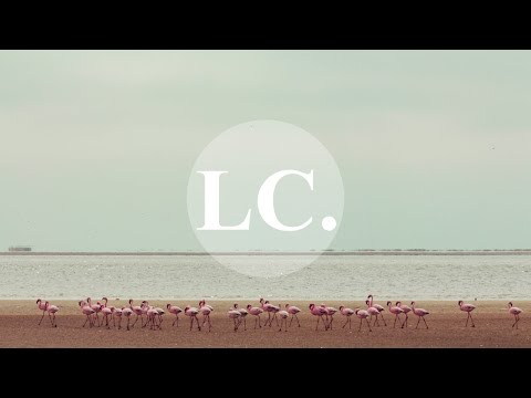 Zeca Veloso - Todo Homem (Nacho Varela & Cruz Vittor Tribute Mix)