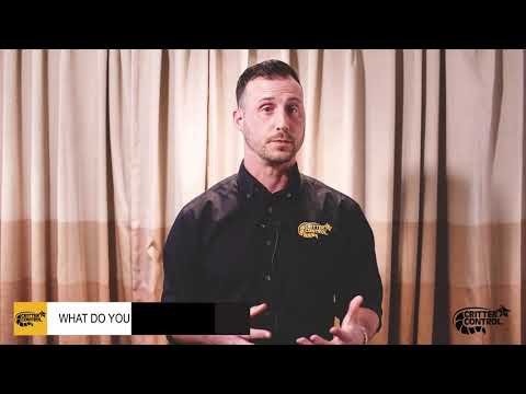 Meet the Owner | Critter Control of Gainesville
