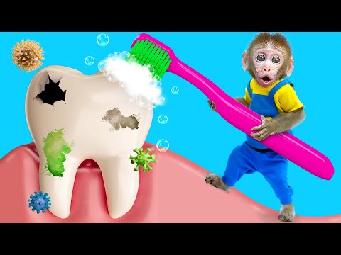 KiKi Monkey try hard to Brush Teeth in the toilet to treat Toothache for friend | KUDO ANIMAL KIKI