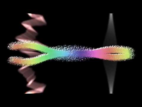 Streaming - Stephen Nachmanovitch, viola d'amore