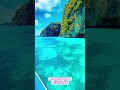 Lip Serum Pria Shorts Shortvideo Shortsfeed Lipserumpria Glossmen