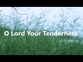 O Lord Your Tenderness - Bob Fitts (lyric video)