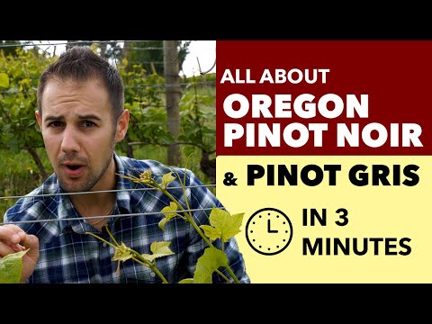 Oregon Grapes - All About Pinot Noir and Pinot Gris from the Willamette Valley, OR