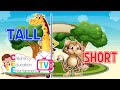 Tall And Short Compare Heights Kindergarten Lessons Math For Kids