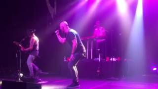 Daughtry&#39;s New Single BACKBONE!!!