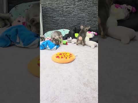 Video 4
