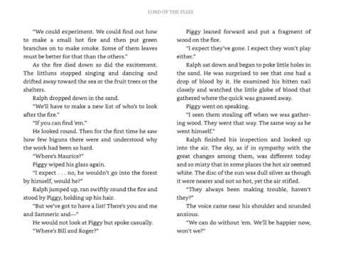 LOTF Chapter 8
